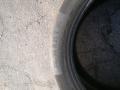 шина  - фото №4