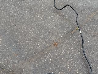 трубка вентиляции бака BMW X5 G05 [рестайлинг] G05 2024, 3.0 л., B58B30P, бензин, АКПП, a300, внедорожник 5 дв., полный привод, 16139896456, 9896456