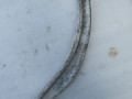 рычаг задний правый Mercedes-Benz E-Класс W213/S213/C238/A238 W213 2016, 2.0 л., OM 654.920, дизель, АКПП, седан, A2043502106 - фото №2