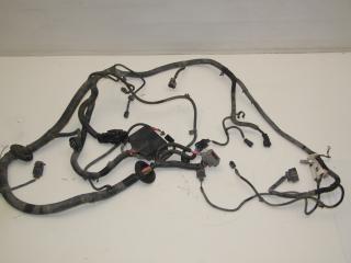 проводка Datsun mi-Do 1 поколение 2015, 1.6 л., VAZ-11186, бензин, МКПП, хетчбэк 5 дв., 21971-3724010-01