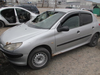 Peugeot 206 1 поколение [рестайлинг] 2A