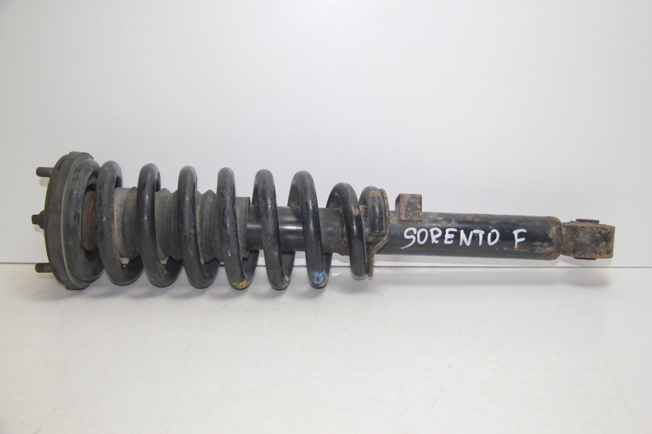 стойка передняя Kia Sorento 1 поколение BL 2002, 2.5 л., D4CB, дизель, АКПП, серебристый, полный привод - фото №1