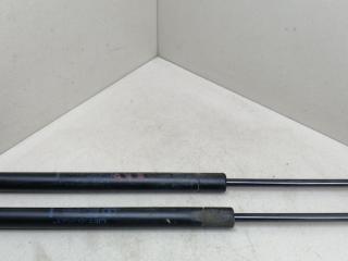 амортизатор крышки багажника (3-5 двери) Renault Megane 2 поколение 2004, 1.5 л., DCi, K9K 722, дизель, 5МКПП, серебристый, хетчбэк 5 дв., передний привод, GF1794, MH71637