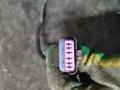 дверная проводка Peugeot 407 1 поколение 2005, 2.0 л., RHR (DW10BTED4), дизель, МКПП, серебро, универсал, передний привод - фото №4