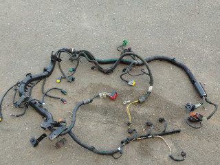 проводка двигателя Fiat Ulysse 2 поколение (2002 - 2010), 2.0 л., RHW (DW10ATED4), дизель