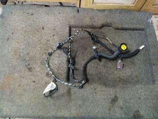 дверная проводка Peugeot 407 1 поколение 2005, 2.0 л., RHR (DW10BTED4), дизель, МКПП, серебро, универсал, передний привод