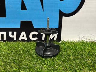 крепление запаски Ford Mustang 6 поколение S550 [рестайлинг] 2019, 2.3 л., бензин, АКПП, кабриолет, задний привод