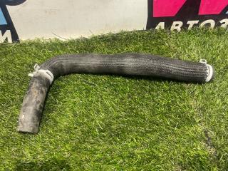 патрубок радиатора Ford Ranger 3 поколение T6 [2-й рестайлинг] 2019, 2.3 л., бензин, 6МКПП, пикап