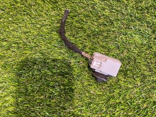 разъем (фишка) проводки Ford Mustang 6 поколение S550 [рестайлинг] 2017, 2.3 л., бензин, АКПП, купе, задний привод