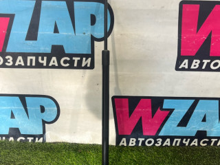 амортизатор крышки багажника (3-5 двери) Ford Escape 4 поколение CX482 2021, 1.5 л., бензин, АКПП, внедорожник 5 дв., передний привод, LJ6B-S406A10-AC