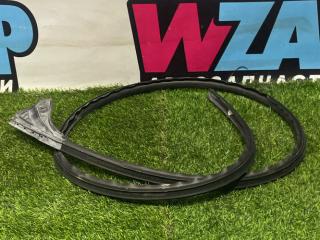 уплотнитель двери Tesla Model Y 1 поколение 2022, электро, белый