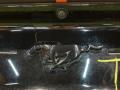 крышка багажника (дверь 3-5) Ford Mustang 6 поколение S550 [рестайлинг] 2021, 2.3 л., бензин, АКПП, оранжевый, купе, задний привод - фото №6