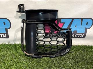 заглушка (решетка) в бампер BMW X5 G05 (2018 - 2025), 8069210