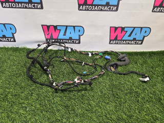 дверная проводка Tesla Model 3 1 поколение 2022, 306796300C