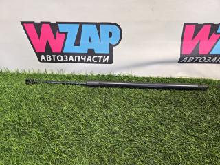 амортизатор крышки багажника (3-5 двери) Ford Escape 4 поколение CX482 2020, 1.5 л., бензин, АКПП, внедорожник 5 дв., LJ6B-S406A10-AC