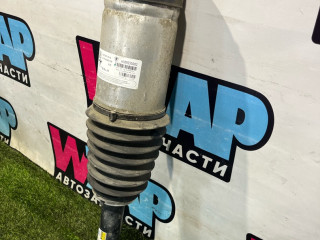 пневмостойка задняя Tesla Model X 1 поколение 2017, электро, белый, 1027461-00-G