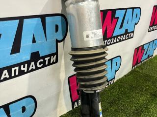 пневмостойка задняя Tesla Model X 1 поколение [рестайлинг] 2023, электро, 1620461-99-D