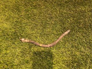 шланг тормозной Fiat 124 2018, 1.4 л., бензин, МКПП, серы, родстер, задний привод