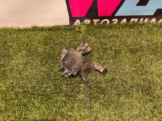 насос продувки катализатора Chevrolet TrailBlazer 3 поколение 2022, 1.3 л., бензин, вариатор, оранжевый, хетчбэк 5 дв., полный привод, 12712982