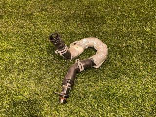 патрубок радиатора Ford Mustang 7 поколение S650 2024, 2.3 л., бензин, АКПП, черный, купе, задний привод, PR33-18K579-AA