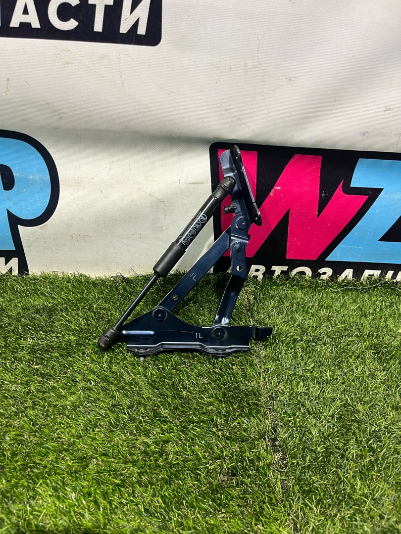 петля крышки багажника Fiat 124 2018, 1.4 л., бензин, МКПП, серы, родстер, задний привод - фото №1