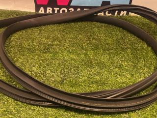 уплотнитель двери Tesla Model Y 1 поколение 2023, электро, полный привод