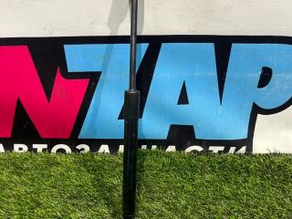 амортизатор крышки багажника (3-5 двери) Ford Mustang 6 поколение S550 [рестайлинг] 2021, 2.3 л., бензин, АКПП, кабриолет, FR3B76406A10BB