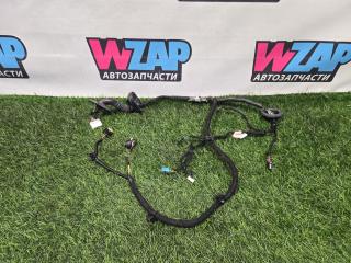 дверная проводка Tesla Model 3 1 поколение 2022, 206796600B