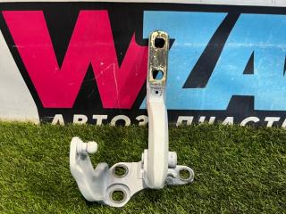 петля двери Tesla Model X 1 поколение [рестайлинг] 2022, электро