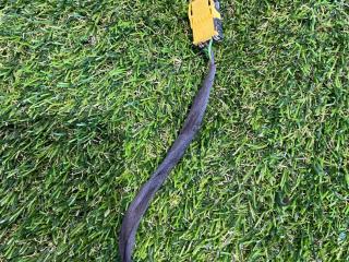 разъем (фишка) проводки Ford Mustang 6 поколение S550 [рестайлинг] 2017, 2.3 л., бензин, АКПП, купе, задний привод