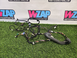 дверная проводка Tesla Model 3 1 поколение 2022, 3067957-00-C