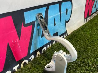 петля двери Tesla Model X 1 поколение [рестайлинг] 2022, электро