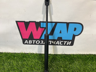 амортизатор крышки багажника (3-5 двери) Ford Mustang 6 поколение S550 [рестайлинг] 2018, 2.3 л., бензин, АКПП, черный, кабриолет, задний привод, FR3B76406A10BB