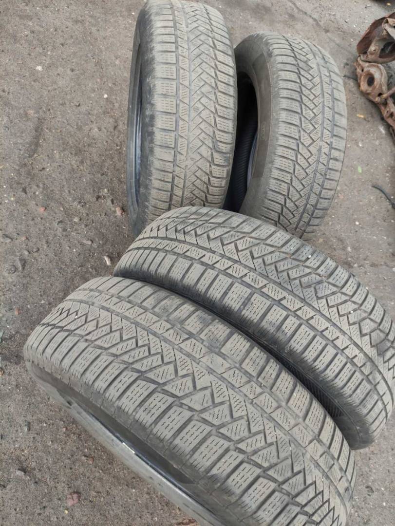 шина - фото №1