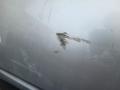 дверь передняя левая Toyota Prius 2 поколение 2006, 1.5 л., 1NZ-FXE, бензин, АКПП, хетчбэк 5 дв. - фото №11