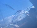 дверь задняя правая Volkswagen Golf 6 поколение 2010, 1.6 л., CAYA, дизель, 5МКПП, хетчбэк 5 дв. - фото №4