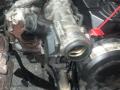 двигатель Audi A3 8P/8PA [2-й рестайлинг] 2009, 1.9 л., BLS, дизель, 5МКПП, хетчбэк 5 дв., BLS - фото №4