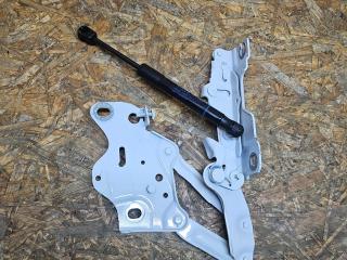 петля капота правая BMW X5 G05 [рестайлинг] G05 2023, 3.0 л., B58B30, бензин, АКПП, a96, внедорожник 5 дв., полный привод, 7418202