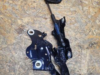 петля капота правая BMW X6 G06 [рестайлинг] G06 2024, 3.0 л., B58B30, бензин, АКПП, 416 carbon-schwarz, внедорожник 5 дв., полный привод, 7418202