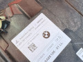 передняя часть (ноускат) в сборе BMW X6 G06 [рестайлинг] G06 2024, 3.0 л., B58B30, бензин, АКПП, 416 carbon-schwarz, внедорожник 5 дв., полный привод, 41007492375, 8686171, 8737621, 8737622, 7492375, 5A8E106, 5A8E105, 8655761 - фото №5