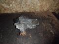 помпа Audi A4 B5 1999, 1.6 л., ADP, бензин, 050121013 - фото №2