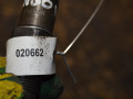 форсунка Citroen Berlingo 1 поколение (M49) (1996 - 2003), 1.9 л., WJY (DW8B), дизель, LCR6736001 - фото №4