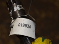 форсунка Citroen Berlingo 1 поколение (M49) (1996 - 2003), 1.9 л., WJY (DW8B), дизель, LCR6736001 - фото №4