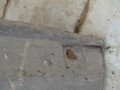 молдинг (накладка кузовная) IVECO Daily 5 поколение (2011 - 2014), 2.3 л., дизель, 504099680 - фото №5