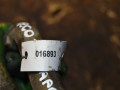 трубка охлаждающей жидкости IVECO Daily 5 поколение 2011, 2.3 л., дизель, 5801378200 - фото №4