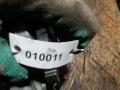 ТНВД IVECO Daily 5 поколение 2013, 3.0 л., дизель, 0928400779 - фото №5