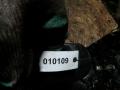 расходомер воздуха Nissan Primera P12 (2001 - 2008), 1.8 л., бензин, 226807S000 - фото №5