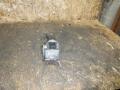 клапан EGR Opel Vectra C 2005, 1.9 л., Z19DTH, дизель, 55215031 - фото №3