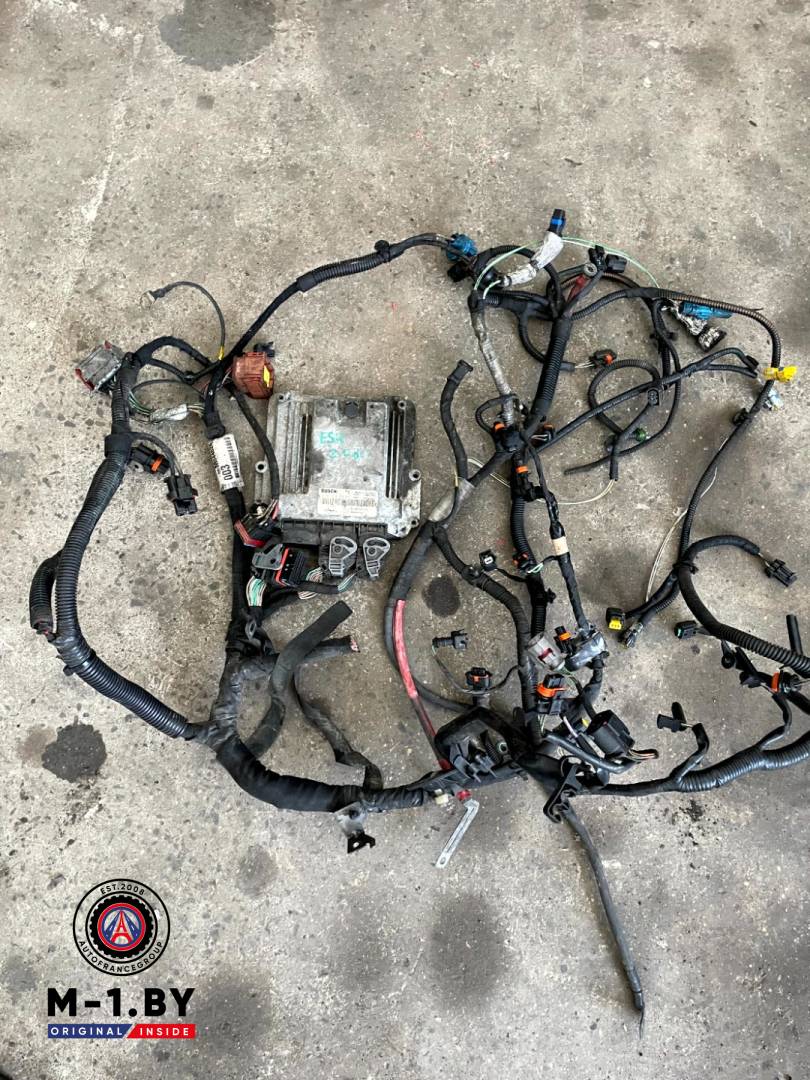 проводка двигателя Renault Espace 4 поколение 2006, 2.0 л., дизель, 0281012659 - фото №1