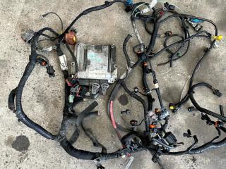 проводка двигателя Renault Espace 4 поколение 2006, 2.0 л., дизель, 0281012659